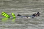 [Einsatz] Wasserrettung aus Fließgewässer