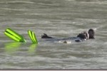 [Einsatz] Wasserrettung aus Fließgewässer
