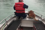 [ENSATZ]  Sucheinsatz Vermisste Person