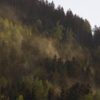 [Einsatz] Waldbrand am Mentlberg
