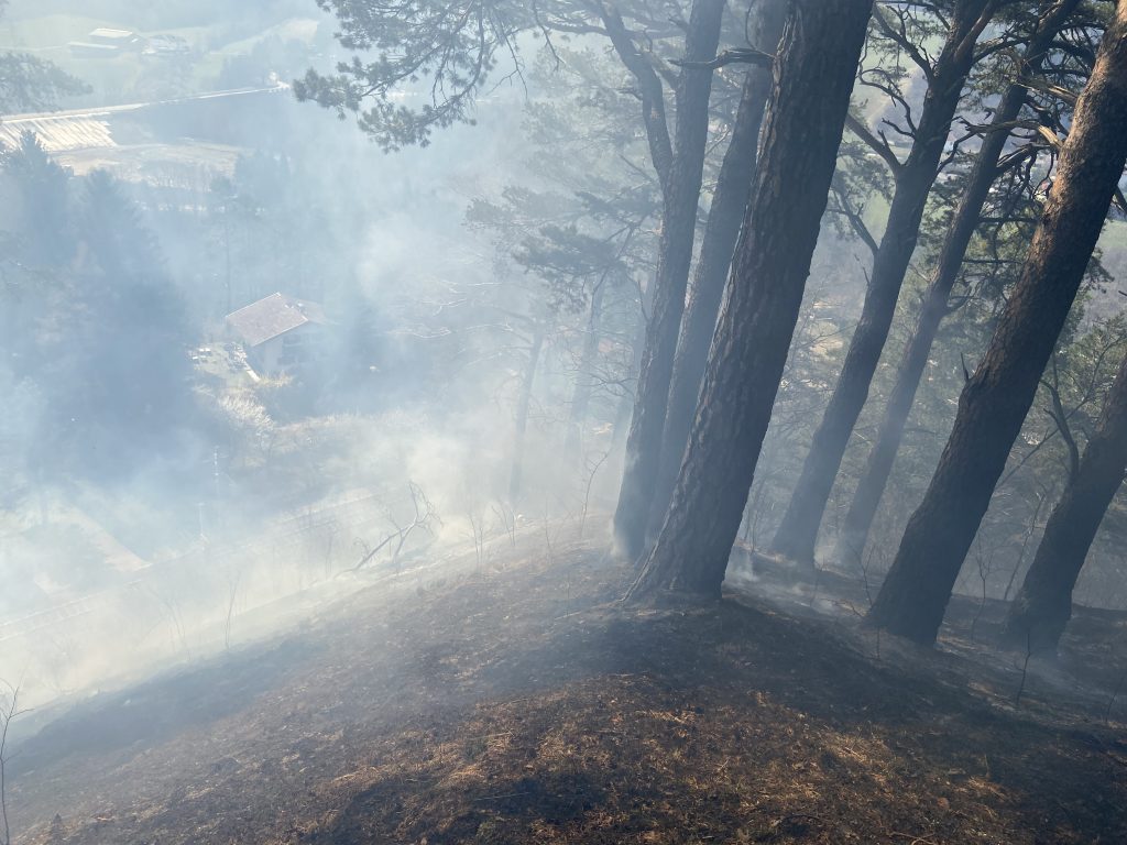 Böschungsbrand Unterberg-Stefansbrücke am 07.04.2020