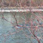 Verkehrsunfall Gewässer